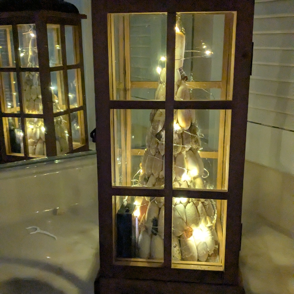 Wondershop LED Dewdrop Lights with Silver Wire